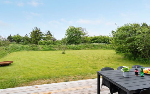 Odinkar - 1Km from the Sea: Pflanzengemeinschaft, Sonnenlicht, Krautige Pflanze, Garten, Plantage, Landwirtschaft, Bauernhof