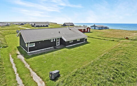 Mette - 98M from the Sea: Pflanzengemeinschaft, Sonnenlicht, Krautige Pflanze, Garten, Plantage, Landwirtschaft, Bauernhof