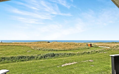 Mette - 98M from the Sea: Pflanzengemeinschaft, Sonnenlicht, Krautige Pflanze, Garten, Plantage, Landwirtschaft, Bauernhof