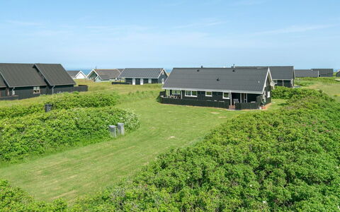 Ananda - 245M from the Sea: Pflanzengemeinschaft, Sonnenlicht, Krautige Pflanze, Garten, Plantage, Landwirtschaft, Bauernhof