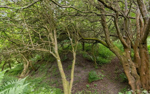 Sorja - 420M from the Sea: Holz, Dach, Haus, Hütte, Tür, Zuhause, Abstellgleis, Grundstueck, Gartenbauten, Schuppen