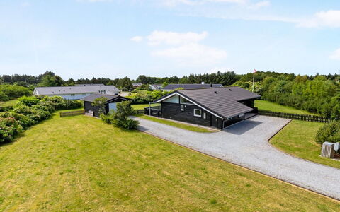 Tatyana - 1.0Km from the Sea: Pflanzengemeinschaft, Sonnenlicht, Krautige Pflanze, Garten, Plantage, Landwirtschaft, Bauernhof