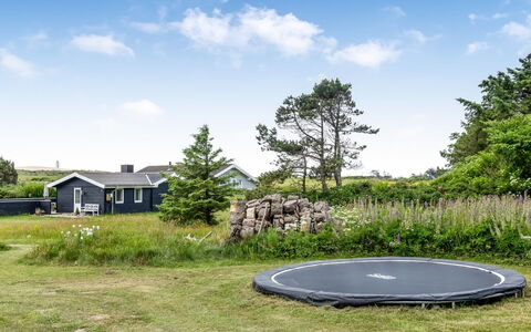 Albert - 340M from the Sea: Gras, Landschaft, Grundstueck, Wiese, Einfach, Rasen, Wiese, Landscaping, Garten, Weide