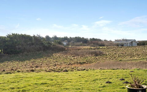 Ailika - 300M from the Sea: Himmel, Gras, Vegetation, Wiese, Strauch, Einfach, Ökoregion, Grundstueck, Pflanzengemeinschaft