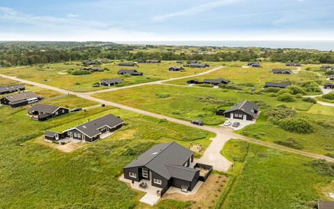 Grith - 1Km from the Sea: Pflanzengemeinschaft, Sonnenlicht, Krautige Pflanze, Garten, Plantage, Landwirtschaft, Bauernhof