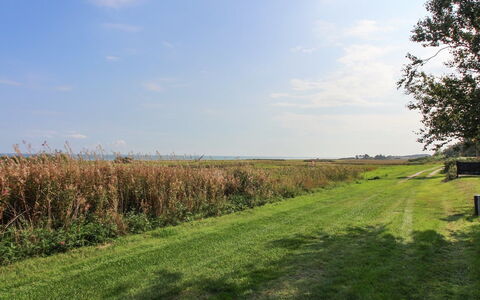 Isalie - 200M from the Sea: Himmel, Blau, Grün, Gras, Wiese, Natürliche Landschaft, Vegetation, Einfach, Ökoregion, Feld