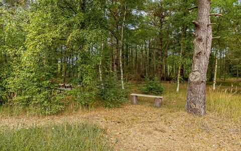 Helmtrud - 500M from the Sea: Blatt, Baum, Natürlichen Umgebung, Gras, Holz, Vegetation, Natürliche Landschaft, Wald, Pflanzengemeinschaft, Kofferraum