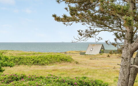Eivi - 150M from the Sea: Hütte, Schuppen, Hütte, Bauernhaus, Prärie, Hütte, Scheune, Blockhaus, Gartenbauten