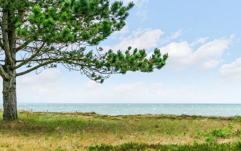 Djuna - 200M from the Sea: Himmel, Blau, Daytime, Grün, Vegetation, Sommer, Horizont, Ökoregion, Wolke, Meer