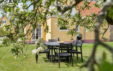 Ater - 800M from the Sea: Möbel, Grün, Stuhl, Gartenmöbel, Strauch, Tabelle, Garten, Tisch Im Freien, Grundstueck