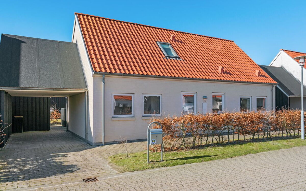 roze - 1.5km From The Sea
