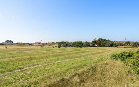 Jantje - 500M from the Sea: Himmel, Blau, Grün, Gras, Natürlichen Umgebung, Wiese, Einfach, Feld, Ökoregion, Sommer