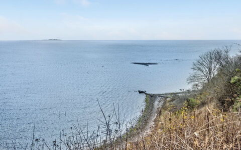 Bosilka - 75M from the Sea: Pflanzengemeinschaft, Sonnenlicht, Krautige Pflanze, Garten, Plantage, Landwirtschaft, Bauernhof