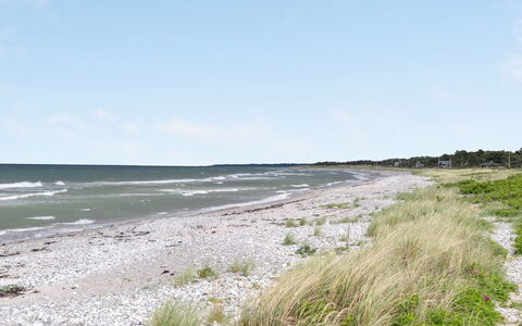 Doritte - 125M from the Sea: Haus, Zuhause, Tür, Dach, Hütte, Estate, Garten, Schatten, Abstellgleis, Garten