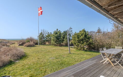 Malte - 75M from the Sea: Pflanzengemeinschaft, Sonnenlicht, Krautige Pflanze, Garten, Plantage, Landwirtschaft, Bauernhof