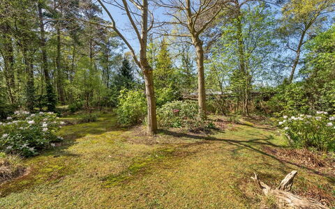 Eweline - 75M from the Sea: Dach, Zuhause, Tür, Hütte, Schatten, Abstellgleis, Garten, Estate, Hinterhof