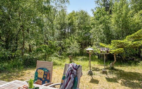 Osa - 150M from the Sea: Baum, Vegetation, Strauch, Pflanzengemeinschaft, Garten, Frühling, Kofferraum, Naturschutzgebiet, Wald, Wald