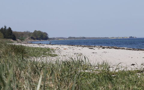 Bridgette - 100M from the Sea: Wasser, Strand, Küste, Küsten Und Ozeanische Forms, Ufer, Meer, Horizont, Sand, Ozean