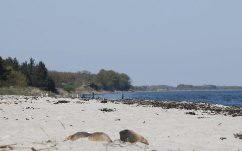 Bridgette - 100M from the Sea: Himmel, Blau, Strand, Natürlichen Umgebung, Küste, Ufer, Horizont, Küsten Und Ozeanische Forms, Meer