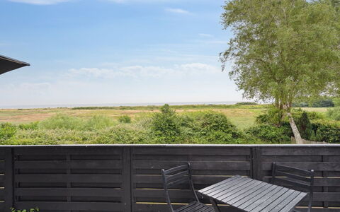 Bridgette - 100M from the Sea: Pflanzengemeinschaft, Sonnenlicht, Krautige Pflanze, Garten, Plantage, Landwirtschaft, Bauernhof