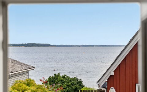 Ajvi - 50M from the Sea: Pflanzengemeinschaft, Sonnenlicht, Krautige Pflanze, Garten, Plantage, Landwirtschaft, Bauernhof