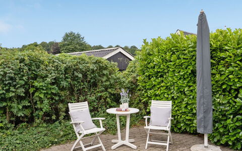 Ajvi - 50M from the Sea: Pflanzengemeinschaft, Sonnenlicht, Krautige Pflanze, Garten, Plantage, Landwirtschaft, Bauernhof