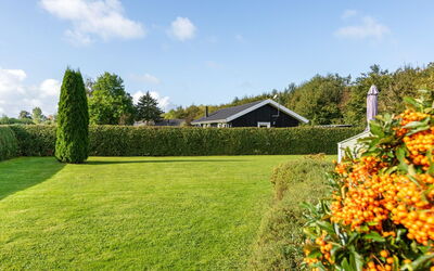 Joona - 600M from the Sea