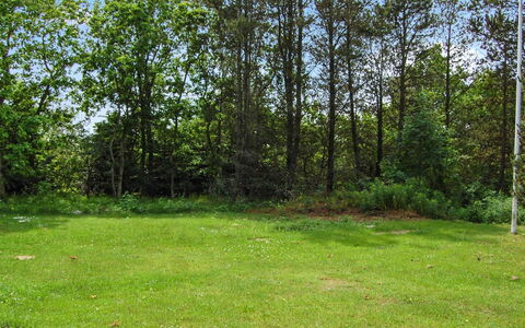 Annlouise - 300M from the Sea: Blatt, Gras, Baum, Grün, Natürlichen Umgebung, Wiese, Strauch, Grundstueck, Kofferraum