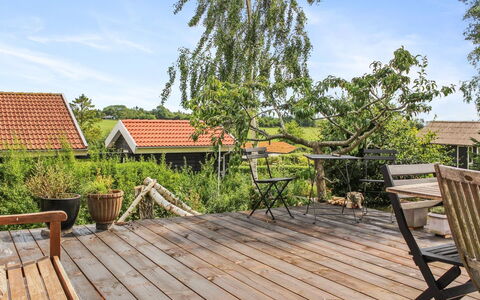 Kersta - 400M from the Sea: Pflanzengemeinschaft, Sonnenlicht, Krautige Pflanze, Garten, Plantage, Landwirtschaft, Bauernhof