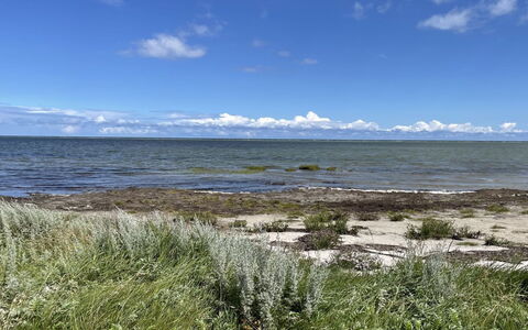 Desche - 300M from the Sea: Schwimmbad, Gartenmöbel, Möbel, Resort, Flagstone, Eco Hotel, Schatten, Stuhl, Freizeit, Estate