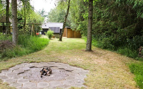 Hildegarda - 1Km from the Sea: Pflanzengemeinschaft, Sonnenlicht, Krautige Pflanze, Garten, Plantage, Landwirtschaft, Bauernhof