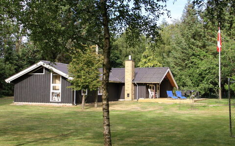 Hildegarda - 1Km from the Sea: Pflanzengemeinschaft, Sonnenlicht, Krautige Pflanze, Garten, Plantage, Landwirtschaft, Bauernhof