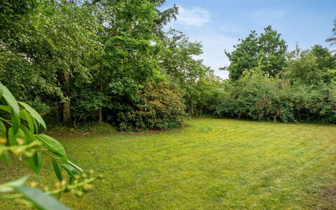 Raya - 250M from the Sea: Grün, Gras, Wiese, Strauch, Sommer, Einfach, Grundstueck, Garten, Wiese