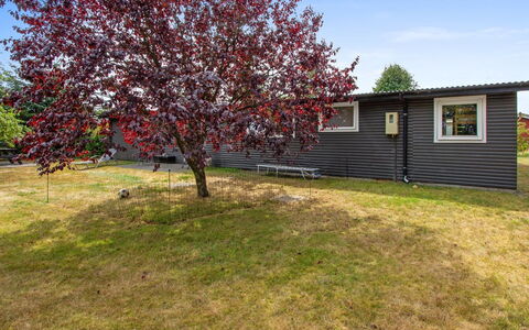 Svend - 1.5Km from the Sea: Ground, Frühling, Rasen, Garten, Garten, Hinterhof, Park