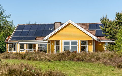 Annestine - 200M from the Sea: Pflanzengemeinschaft, Sonnenlicht, Krautige Pflanze, Garten, Plantage, Landwirtschaft, Bauernhof