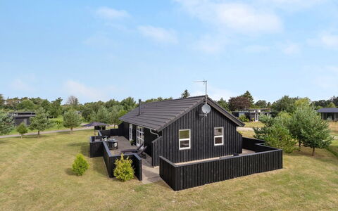 Thure - 1Km from the Sea: Pflanzengemeinschaft, Sonnenlicht, Krautige Pflanze, Garten, Plantage, Landwirtschaft, Bauernhof