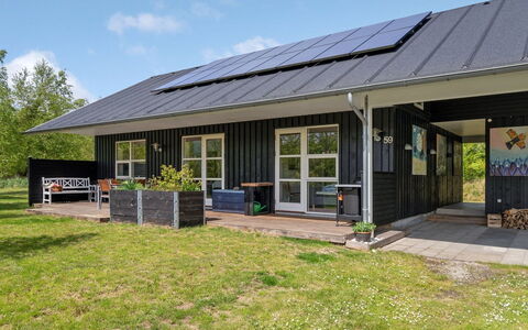 Berta - 300M from the Sea: Pflanzengemeinschaft, Sonnenlicht, Krautige Pflanze, Garten, Plantage, Landwirtschaft, Bauernhof