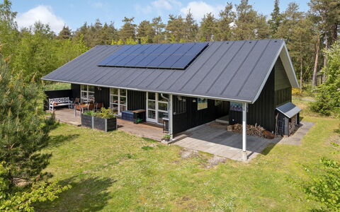 Berta - 300M from the Sea: Pflanzengemeinschaft, Sonnenlicht, Krautige Pflanze, Garten, Plantage, Landwirtschaft, Bauernhof