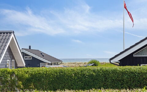Gertrud - from the Sea: Pflanzengemeinschaft, Sonnenlicht, Krautige Pflanze, Garten, Plantage, Landwirtschaft, Bauernhof