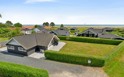 Gertrud - from the Sea: Pflanzengemeinschaft, Sonnenlicht, Krautige Pflanze, Garten, Plantage, Landwirtschaft, Bauernhof