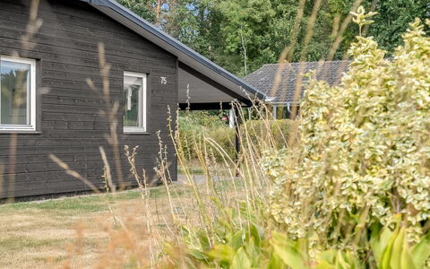 Sveina - 600M from the Sea: Haus, Strauch, Zuhause, Hütte, Abstellgleis, Ground, Gartenbauten, Garten, Hinterhof, Garten