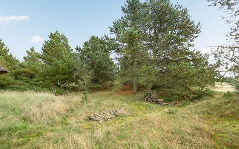 Catarine - 1.1Km from the Sea: Holz, Pflanzengemeinschaft, Grundstueck, Schatten, Natürliches Material, Gartenbauten, Schuppen, Outdoor Struktur, Blockhaus