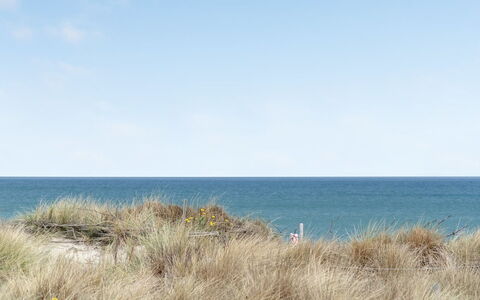 Adina - 50M from the Sea: Pflanzengemeinschaft, Sonnenlicht, Krautige Pflanze, Garten, Plantage, Landwirtschaft, Bauernhof