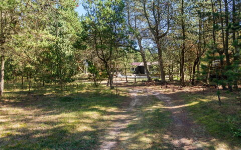 Gorm - 300M from the Sea: Holz, Dach, Haus, Hütte, Tür, Zuhause, Abstellgleis, Grundstueck, Gartenbauten, Schuppen