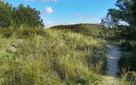 Lewe - 150M from the Sea: Blau, Strauch, Hütte, Ground, Garten, Estate, Schatten, Landscaping, Bauernhaus, Eco Hotel