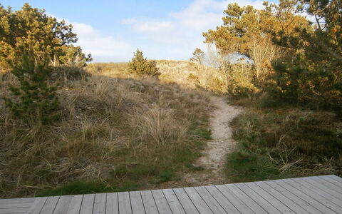 Lewe - 150M from the Sea: Blau, Strauch, Hütte, Ground, Garten, Estate, Schatten, Landscaping, Bauernhaus, Eco Hotel