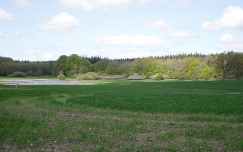 Thia - 4Km to the Fjord: Wohngebiet, Dach, Vorort, Auffahrt, Estate, Kamin