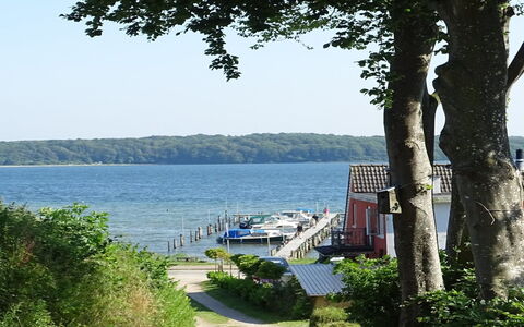 Veselin - 100M from the Sea: Holz, Dach, Die Architektur, Zuhause, Haus, Hütte, Abstellgleis, Hartholz, Steigung, Estate