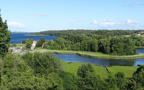 Veselin - 100M from the Sea: Holz, Dach, Die Architektur, Zuhause, Haus, Hütte, Abstellgleis, Hartholz, Steigung, Estate