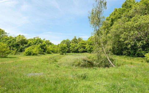 Tydulf - 34Km from the Sea: 